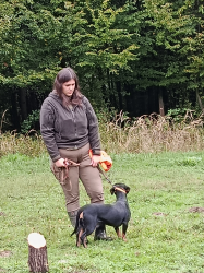 IMG 20250927 082557 S